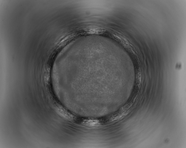 X0000100230554200806131338