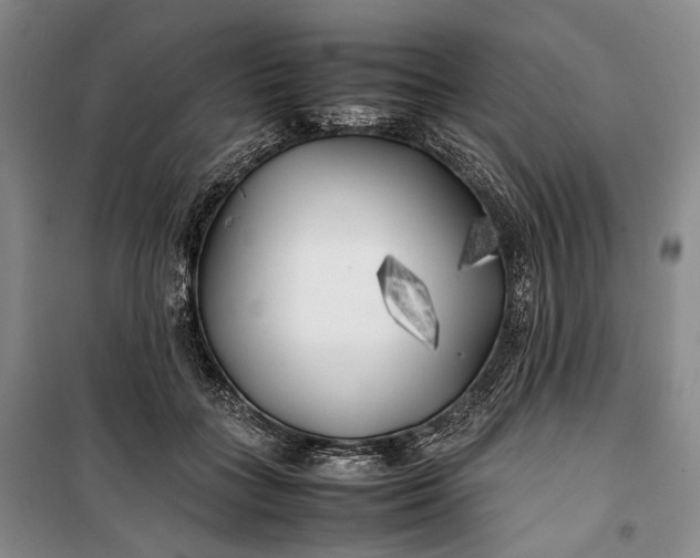 X0000100230555200806131338