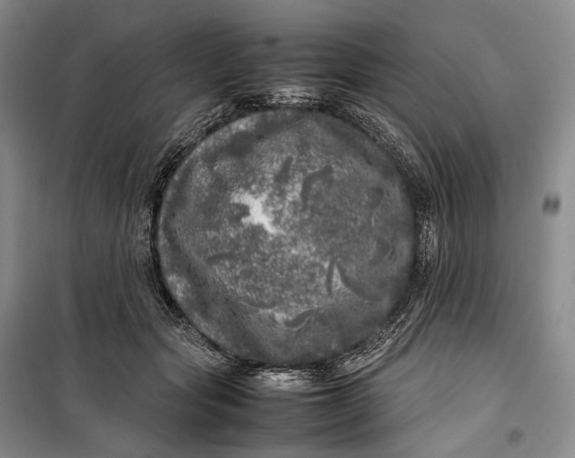 X0000100230557200806131338