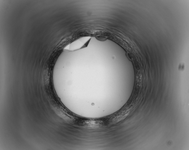 X0000100230558200806131338