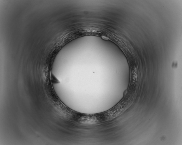 X0000100230559200806131338