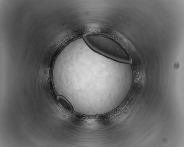 X0000100230560200806131338