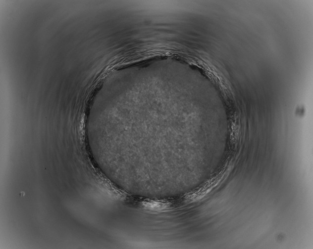 X0000100230561200806131338