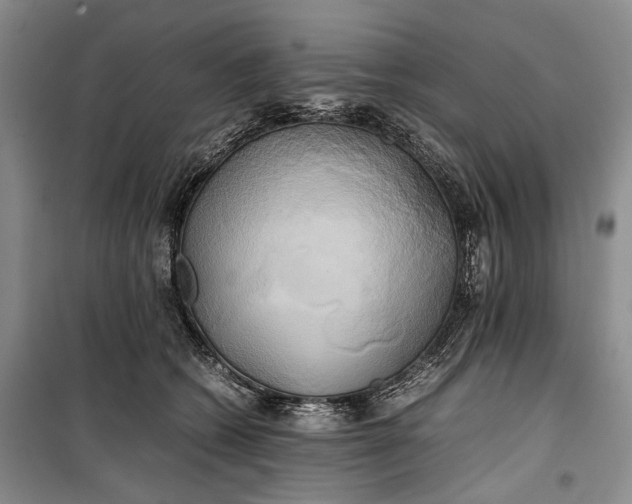 X0000100230562200806131338