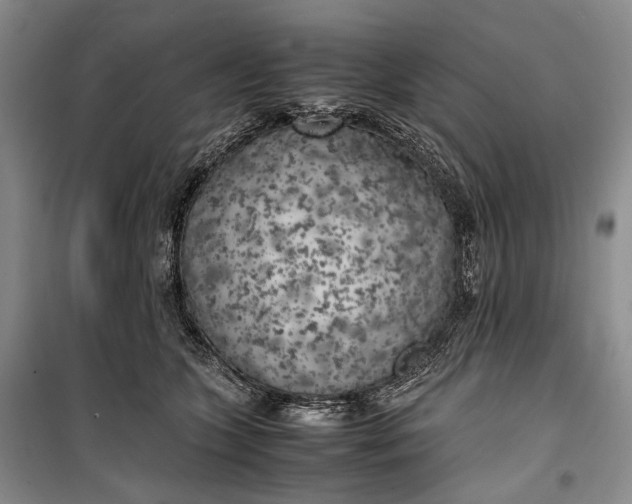 X0000100230563200806131338