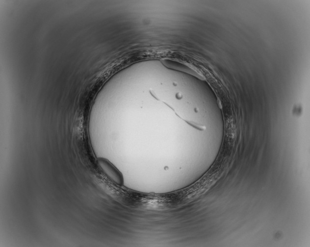 X0000100230564200806131339