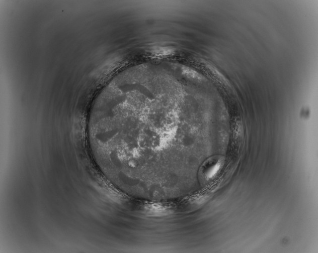 X0000100230565200806131339