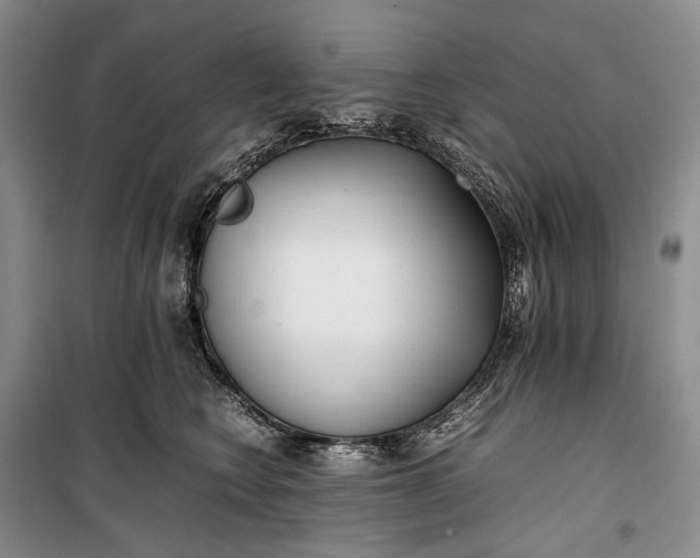 X0000100230566200806131339