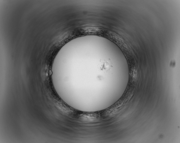 X0000100230567200806131339