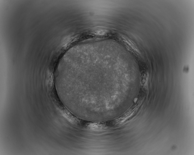 X0000100230568200806131339