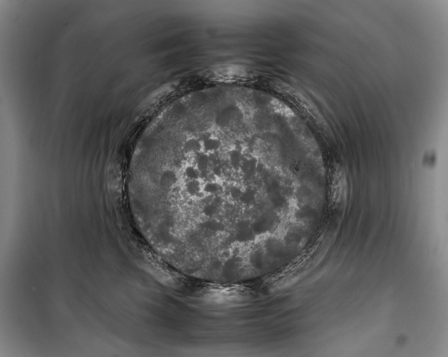 X0000100230569200806131339