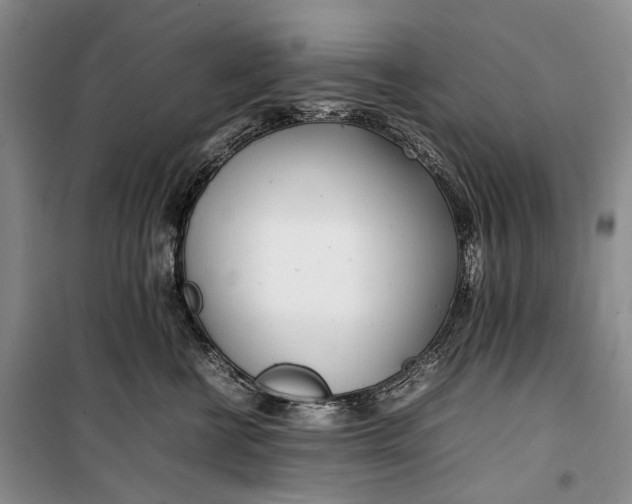 X0000100230570200806131339