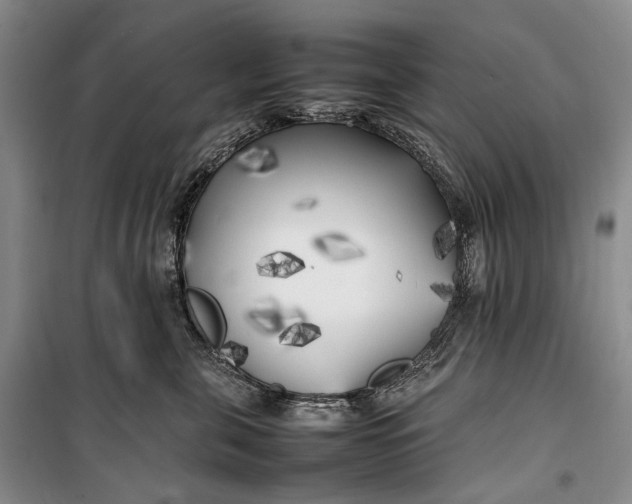 X0000100230571200806131339