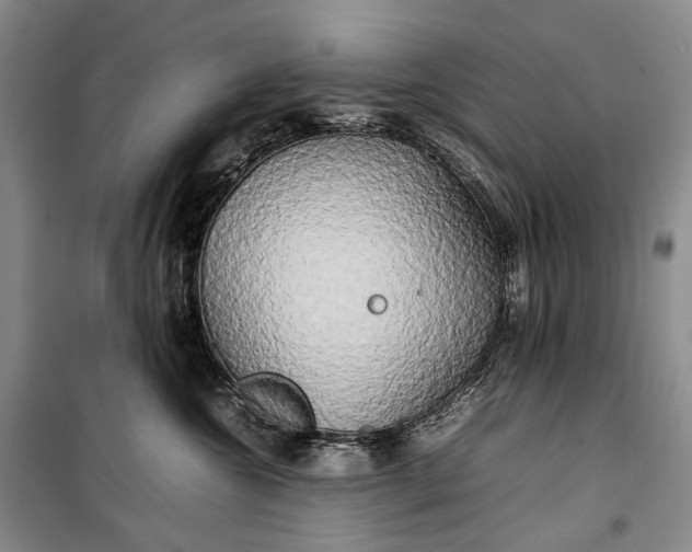 X0000100230572200806131339