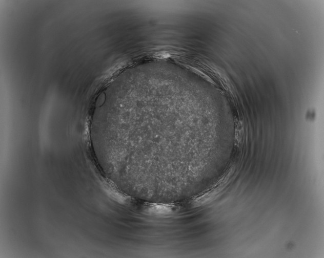 X0000100230573200806131339