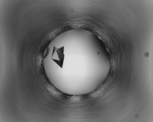 X0000100230574200806131339