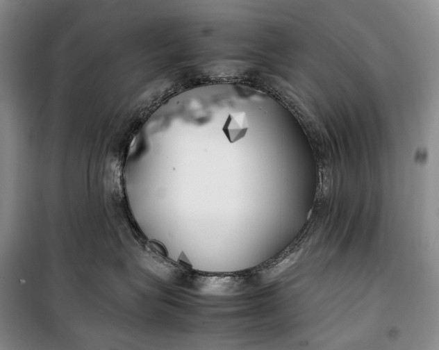 X0000100230575200806131339