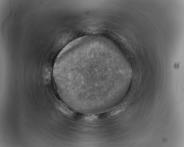 X0000100230576200806131339