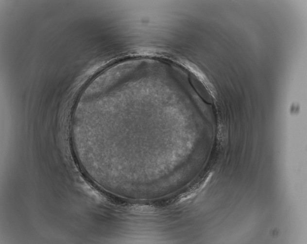 X0000100230577200806131338