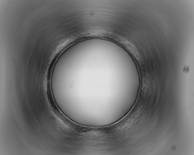 X0000100230578200806131338