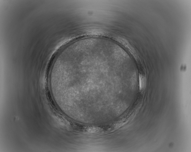 X0000100230579200806131338