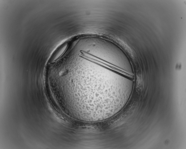 X0000100230580200806131338