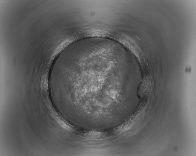 X0000100230581200806131338