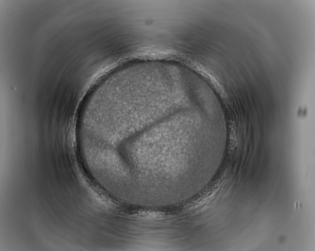 X0000100230582200806131338