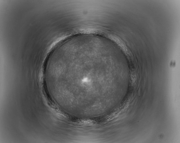 X0000100230583200806131338