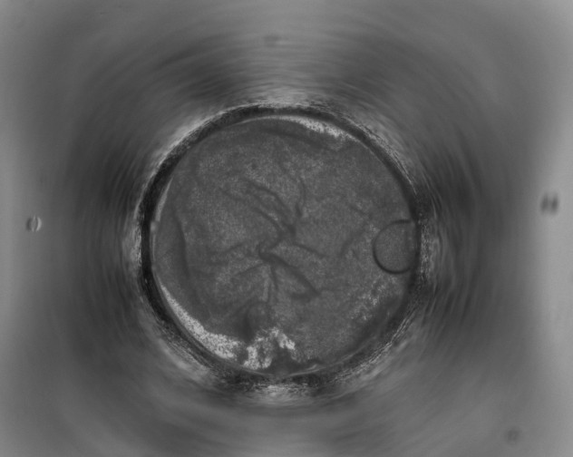 X0000100230584200806131338