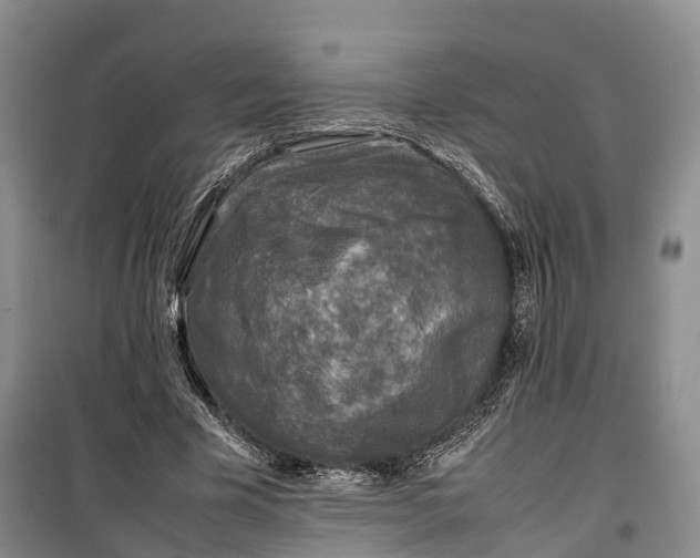 X0000100230585200806131338