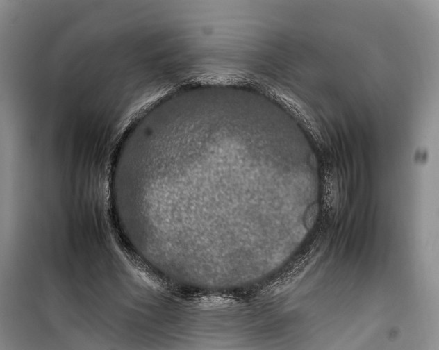 X0000100230586200806131338