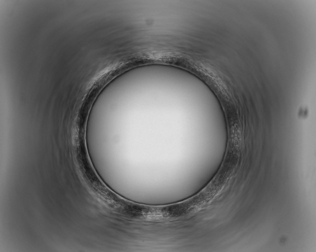 X0000100230587200806131338