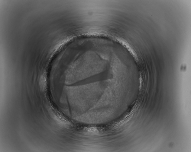 X0000100230588200806131338