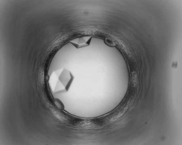 X0000100230589200806131338