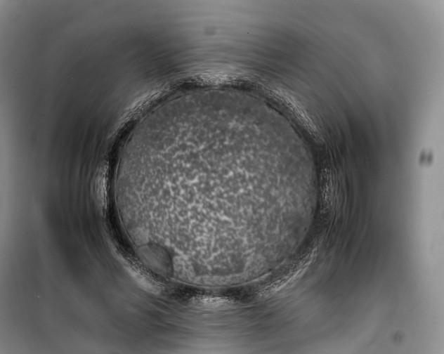 X0000100230590200806131338