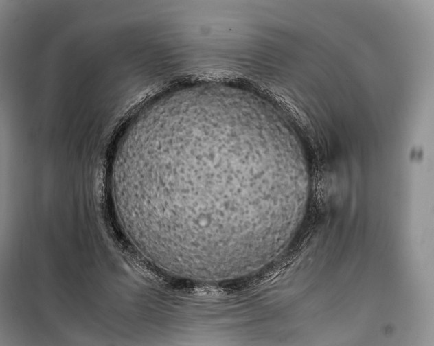 X0000100230591200806131338