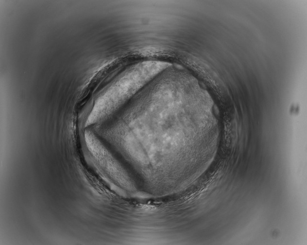 X0000100230592200806131338