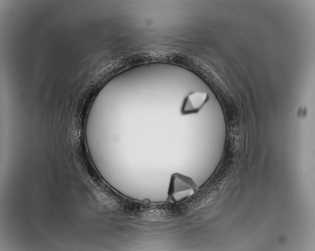 X0000100230593200806131338