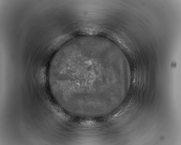 X0000100230594200806131338