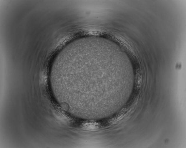 X0000100230595200806131338