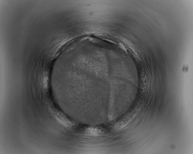 X0000100230596200806131338