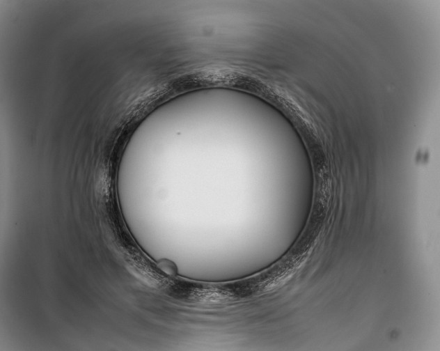 X0000100230597200806131338