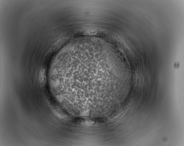 X0000100230598200806131338