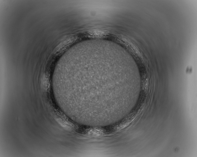 X0000100230599200806131338