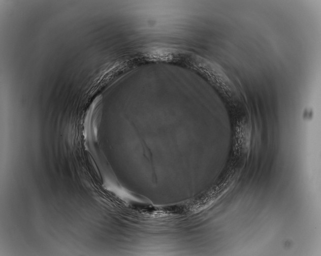 X0000100230600200806131338