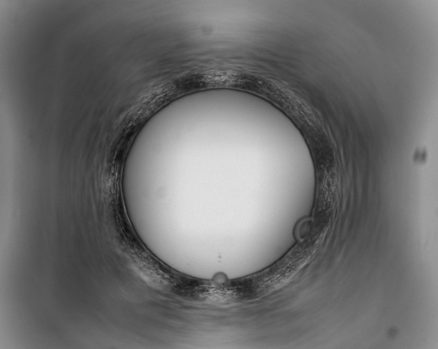 X0000100230601200806131338