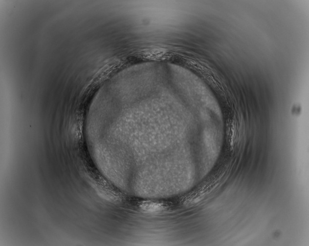 X0000100230602200806131338