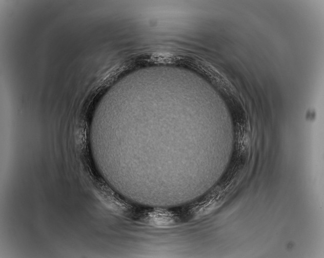 X0000100230603200806131338