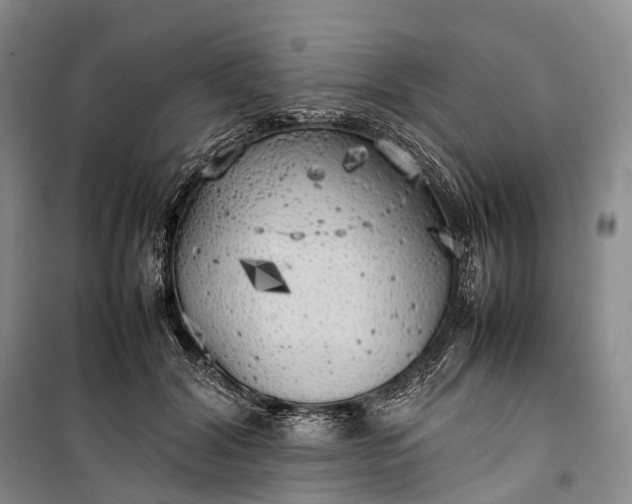 X0000100230604200806131338